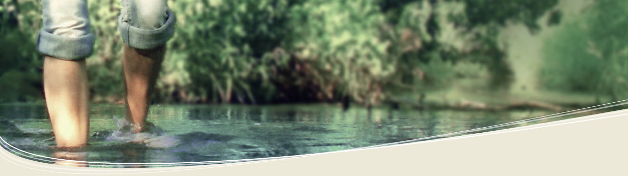 header1